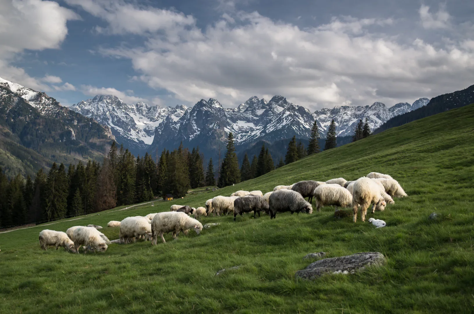 Tatry Wysokie z Rusinowej Polany